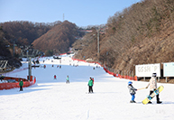 강촌스키장3.jpg